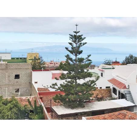 Sprzedaż - Nieruchomości - Dom / Apartament - Guia de Isora 1