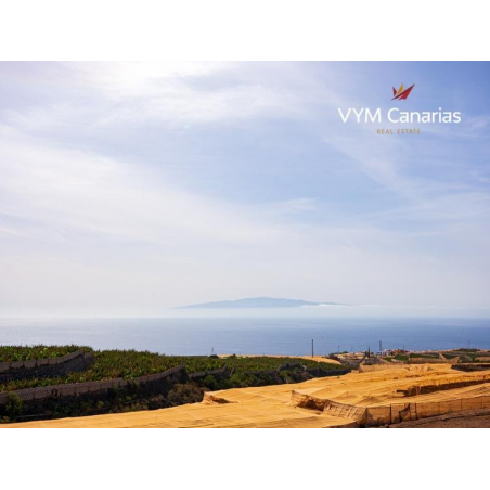 Sprzedaż - Nieruchomości - Kamienica - Piedra Hincada 1