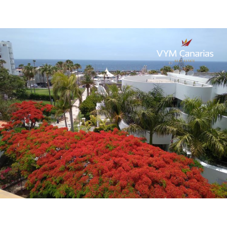 Sprzedaż - Nieruchomości - Apartament - San Eugenio Bajo - Costa Adeje 11
